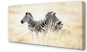 Obraz na płótnie Zebry na Otwartym Terenie