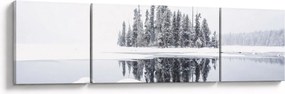 Obraz - Było biało (170x50 cm)