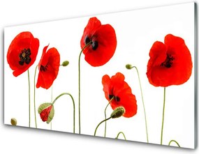 Szkło Dekoracyjne do Kuchni Maki W Letnim Słońcu