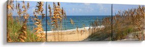 Obraz - Plaża (170x50 cm)