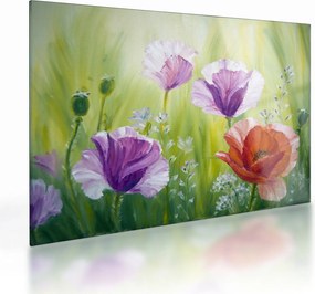 Obraz na szkle - Maki (70x50 cm)