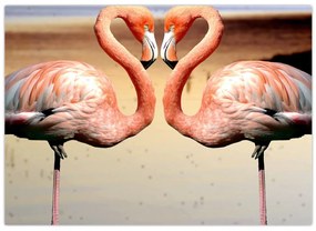 Obraz - dwa flamingi (70x50 cm)