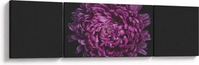 Obraz fioletowego kwiatu (170x50 cm)