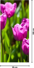 Fototapeta na drzwi - Tulipany na łące (95x205cm)