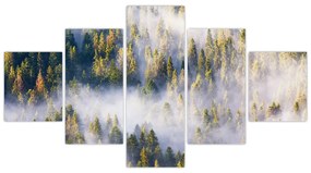 Obraz drzew we mgle (125x70 cm)