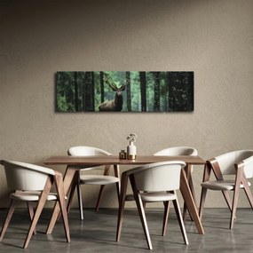 Obraz - Jeleń w głebokim lesie (170x50 cm)