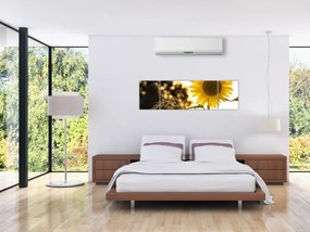 Obraz słonecznika (170x50 cm)