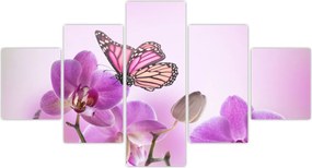 Obraz - Motyl na kwiatach orchidei, liliowy (125x70 cm)