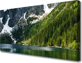 Obraz canvas Panorama Alpejskiej Natury