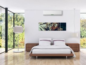Obraz - tygrys syberyjski (170x50 cm)