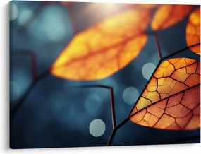 Obraz - Tekstura liści (70x50 cm)