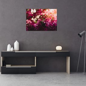 Obraz na szkle - kwiaty malwy (70x50 cm)