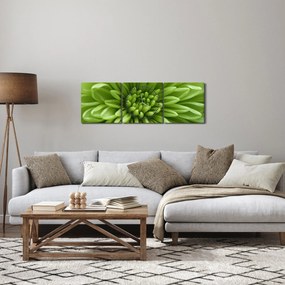 Obraz - Obraz rośliny w trybie makro (z zegarem) (90x30 cm)