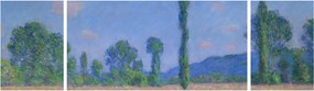 Obraz - Claude Monet, Poppy Field (Giverny), reprodukcje (170x50 cm)