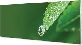 Szklany Panel Poranny Detal na Liściu