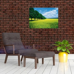 Obraz pola z aleją (70x50 cm)