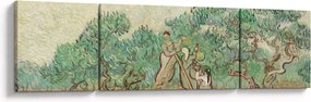 Obraz - Vincent van Gogh, The Olive Orchard, reprodukcje (170x50 cm)