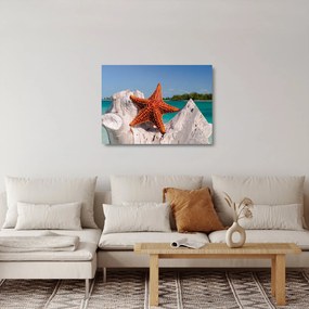 Obraz na szkle - rozgwiazda (70x50 cm)