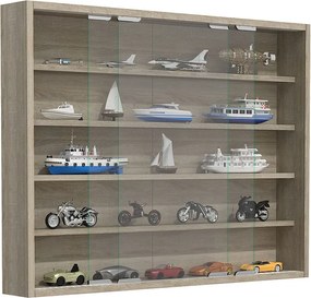 Wiszący wyświetlacz ścienny szafki szklanej Agisa L