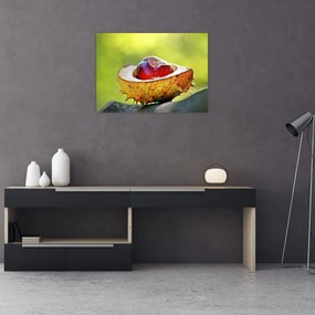 Obraz na szkle - kasztanowce (70x50 cm)