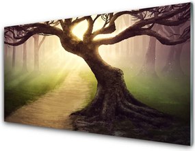 Panel Szklany Promienie Słońca w Koronie Drzewa