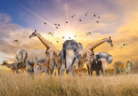 Fototapeta - Safari (196x136 cm)