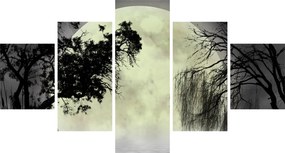 Obraz - Księżyc w pełni nad powierzchnią, wersja czarno - biała (125x70 cm)