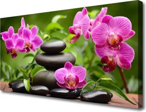 Obraz canvas na ścianę Nowoczesna Kompozycja Zen