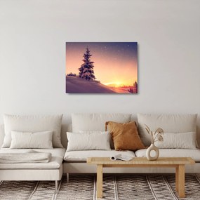 Obraz na szkle - ośnieżone drzewo na łące (70x50 cm)
