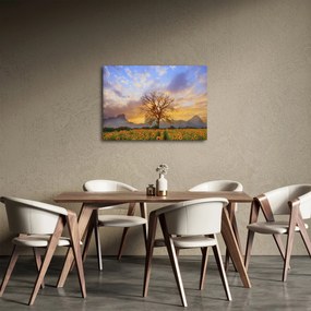 Obraz - Pejzaż ze słonecznikami (70x50 cm)