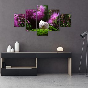 Obraz - Muszla ślimaka (125x70 cm)