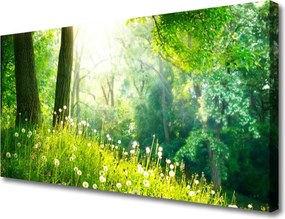 Duży obraz na płótnie Sielska Zielona Łąka
