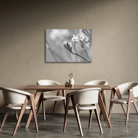 Obraz - Kwitnący kwiat (70x50 cm)