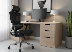 Fotel biurowy Ergo Omega czarny oferuje maksymalny komfort i nowoczesny design! Regulacja lędźwiowa, podłokietniki 4D, oddychająca siatka Mesh i chromowana podstawa. Idealny do pracy.