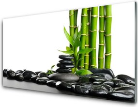 Szkło do Kuchni na Ścianę Artystyczne Pędy Bambusa
