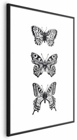 Plakat Trzy motyle 29,7x42 cm z ramą czarną bez marginesu ARTGEIST B