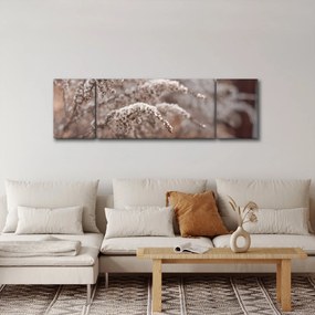 Obraz roślin (170x50 cm)