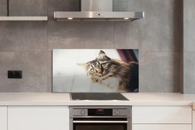 Panel Szklany Kot maine coon