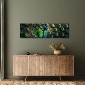 Obraz – Paw (170x50 cm)