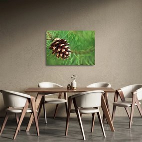 Obraz na szkle - szyszki (70x50 cm)
