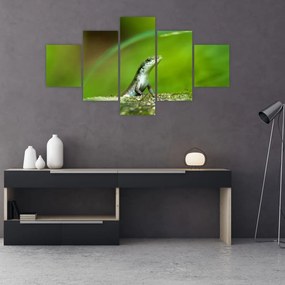 Obraz jaszczurki (125x70 cm)