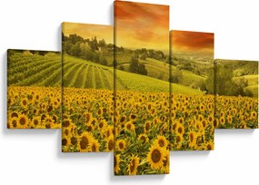 Obraz - Pole słoneczników (125x70 cm)