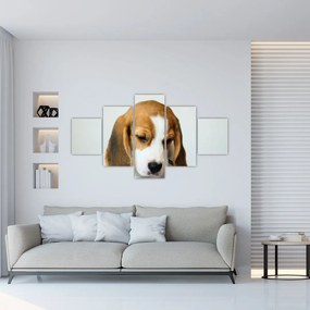Obraz Beagle (125x70 cm)