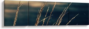 Obraz traw (170x50 cm)