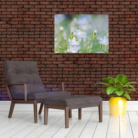 Obraz - Delikatne kwiaty (70x50 cm)