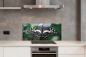 Panel Szklany Motyl na Zielonych Liściach