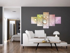 Obraz - Krople rosy (125x70 cm)