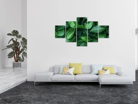 Obraz - Zielone liście (125x70 cm)