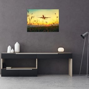 Obraz startującego samolotu (70x50 cm)