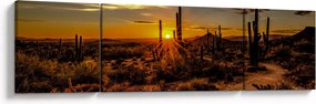 Obraz - Koniec dnia na pustyni w Arizonie (170x50 cm)